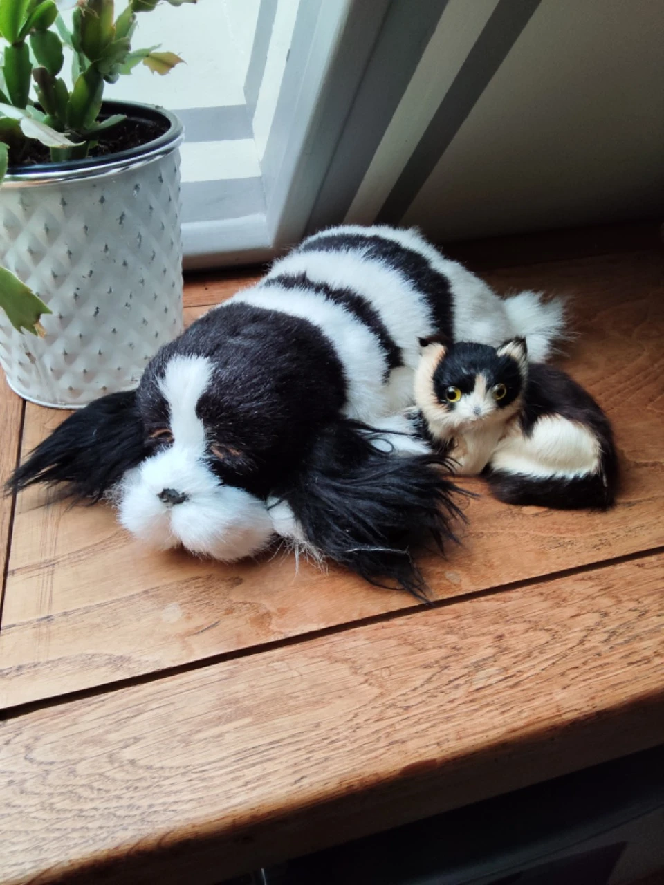 Hond en kat op vintage tapijt – photo 2